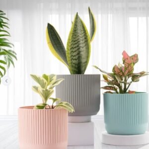 Gardening Decoration