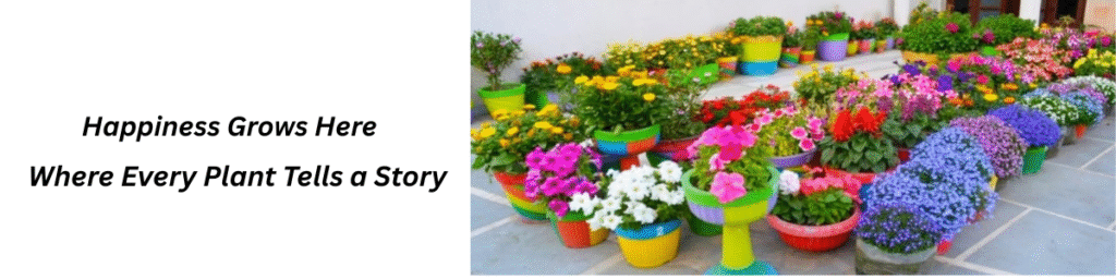 where every plant tells a story (1)