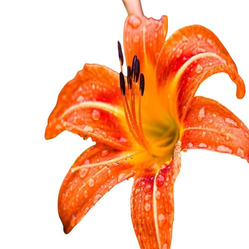 untitled 0 (2) imresizer