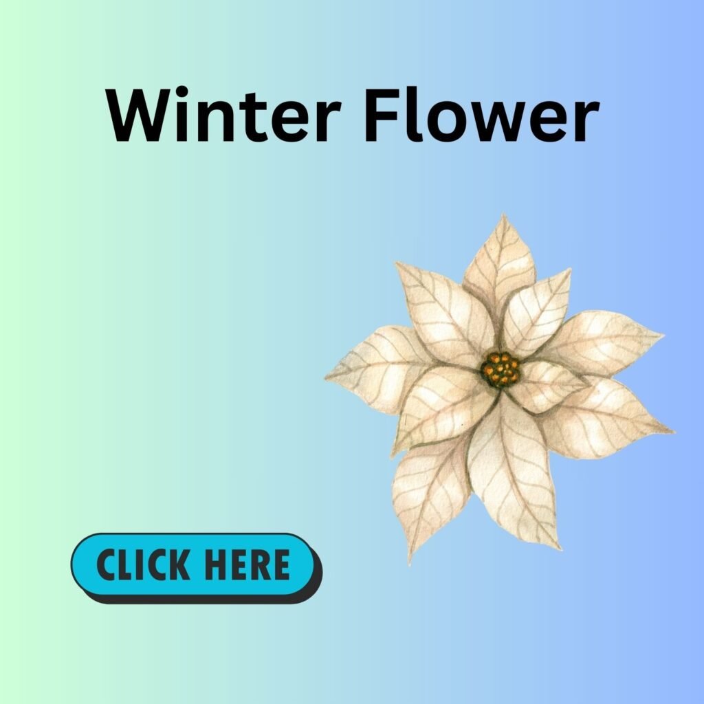 winter flower